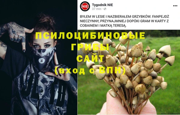 бошки Беломорск